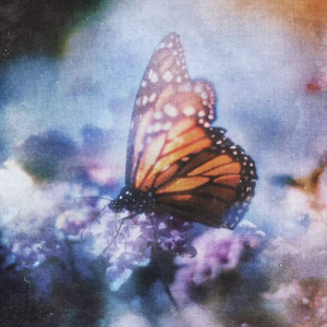 色影音先锋色资源网站
